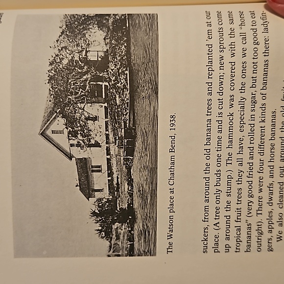 Totch / A Life In The Everglades by Peter Matthiessen Paperback - Picture 11 of 15